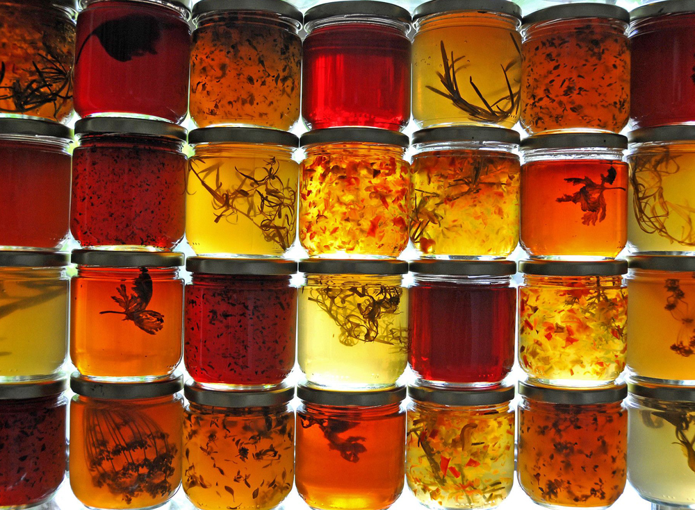 Kompostolar ve Meyve Konserveleri